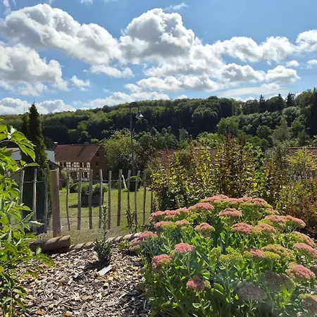 Franzi Mit Grill, Garten Und Terrasse Hébergement de vacances Grebenhain